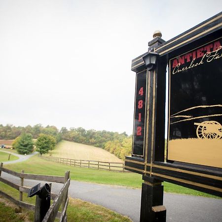 Antietam Overlook Farm Rohrersville Exteriör bild